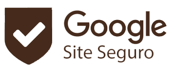 Google seguro